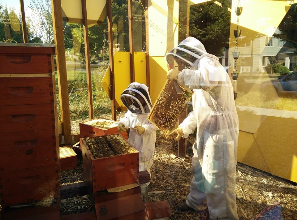 5. West Seattle Bee Garden, Seattle
